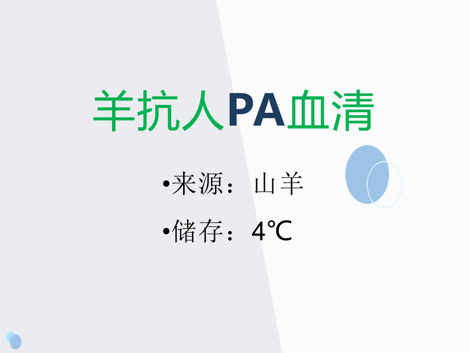 羊抗人PA血清